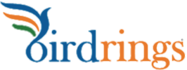 BirdRings